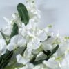 falenopsis orxideya iskustvennaya v prokat 1